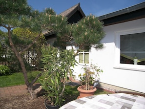 Unclassified image, 5 of 33, button