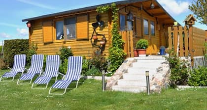 1-Raumappartement Nr. 01 mit Terrasse - Pension Ritter - in ruhiger Lage von