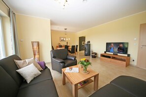 Fernseher, Kamin