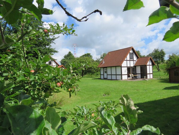 Terrain de l’hébergement 