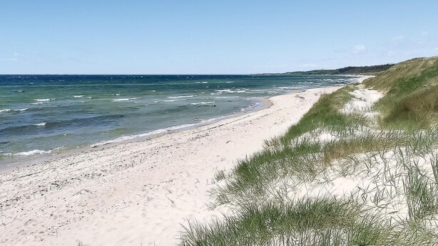 A beach with a sandy shore and grassy dunes. - 2 bedroom amazing home in Nexø (Nexø)