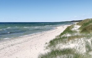 A beach with a sandy shore and grassy dunes.