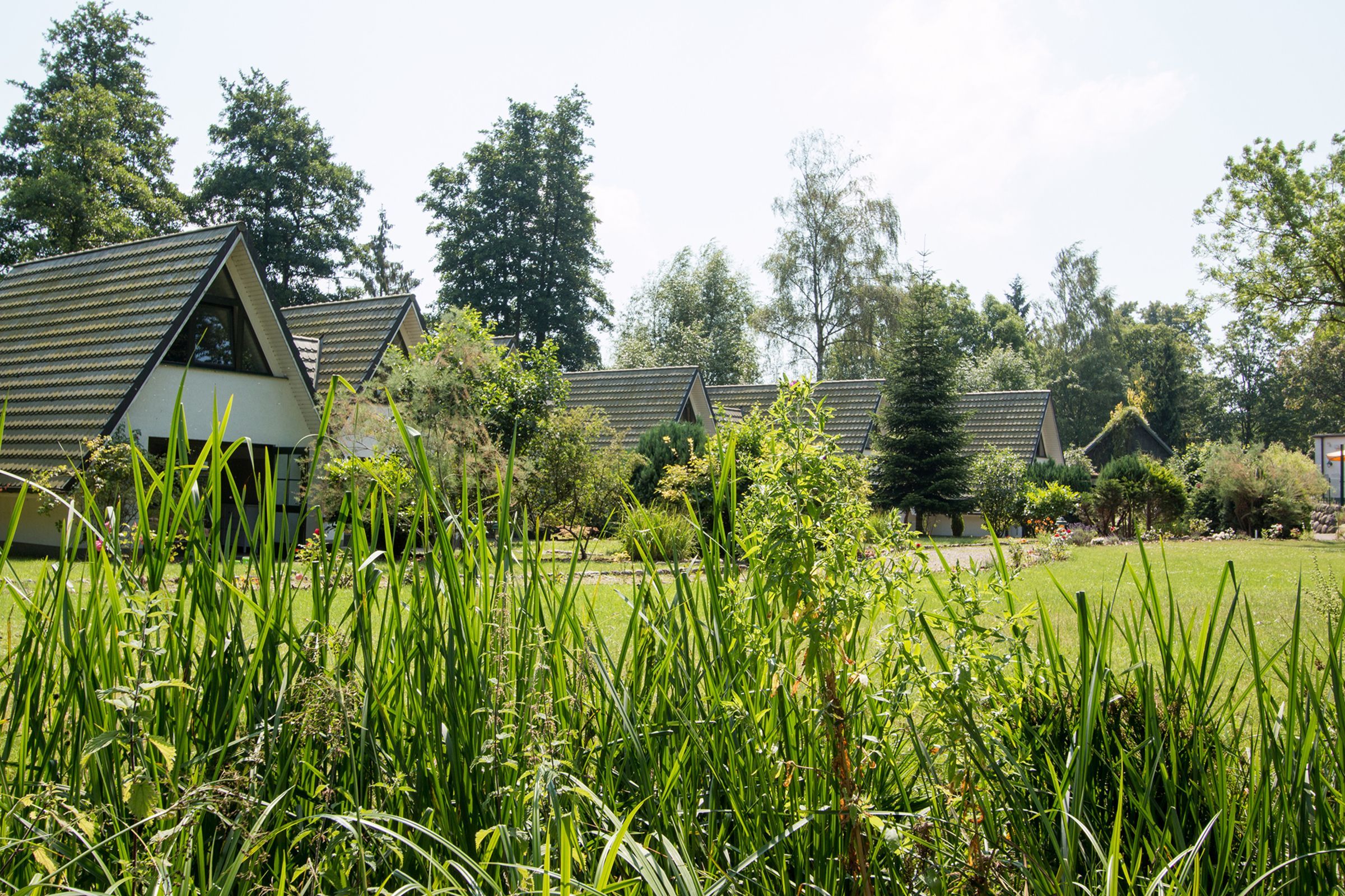 Une rangée de bâtiments modernes, dotés de toits triangulaires, avec une pelouse bien entretenue et une végétation luxuriante au premier plan.