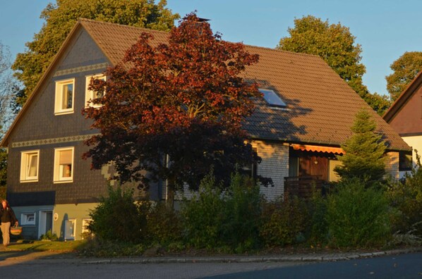 Eksteriør