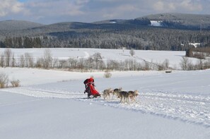 Unclassified image, 2 of 10, button