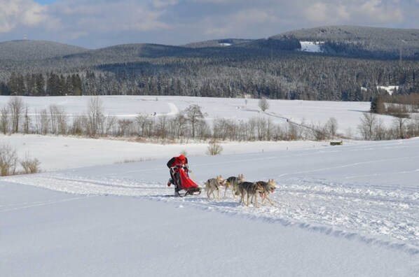 Unclassified image, 1 of 10, button