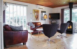 تل فزيون، مدفأة، مشغل دي في دي