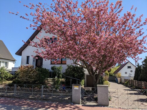 KuR summer - basement apartment - basement apartment