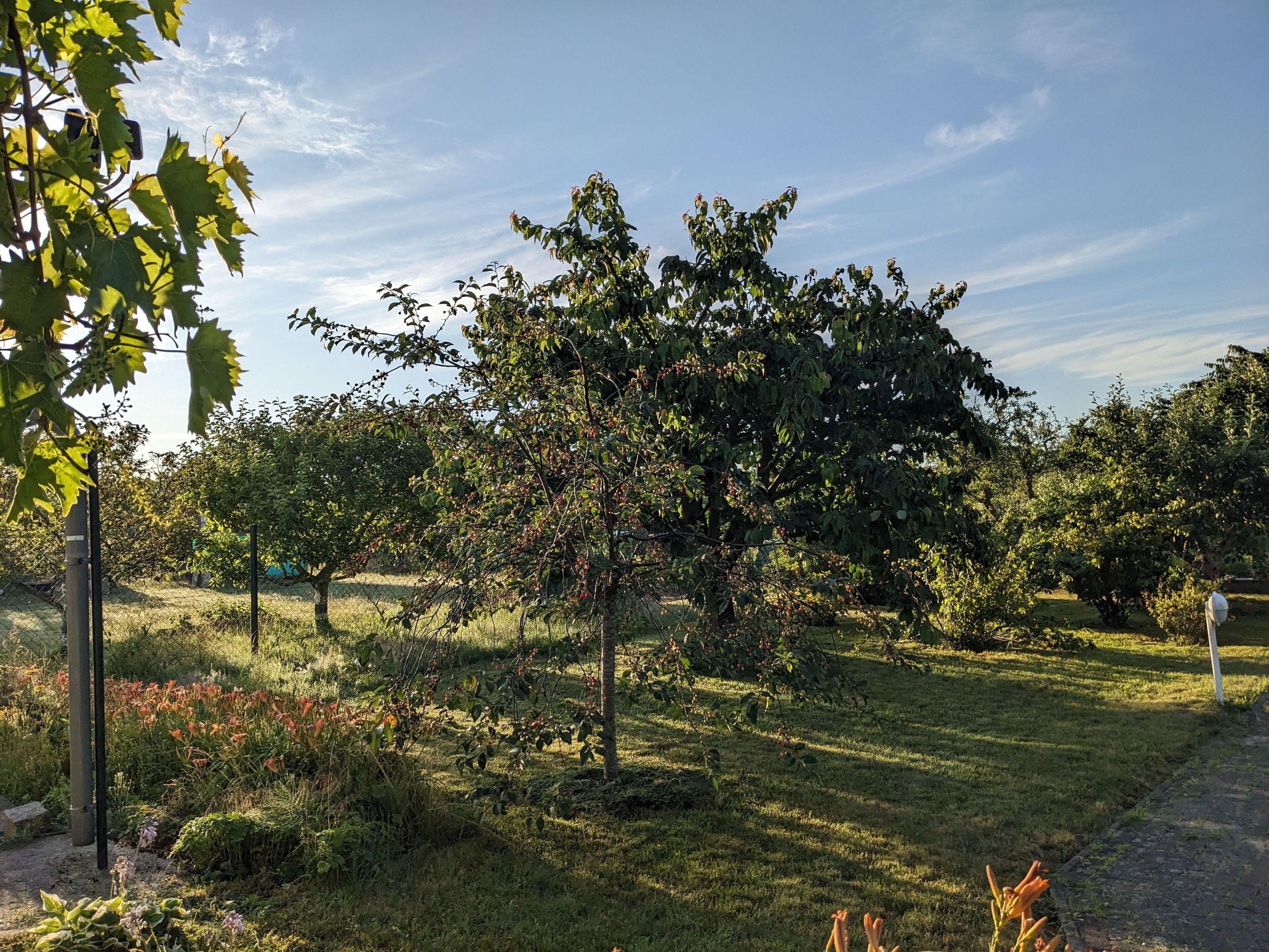 Enceinte de l’hébergement