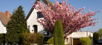 KuR summer - basement apartment - basement apartment