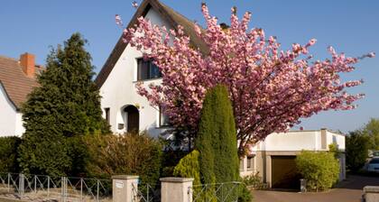 KuR Sommer - Souterrain Ferienwohnung - Souterrain-Ferienwohnung