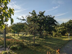 Terrain de l’hébergement 