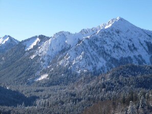 Unclassified image, 2 of 37, button