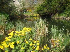 Property grounds - Apartment I - Apartments Christelhof (Penzlin)