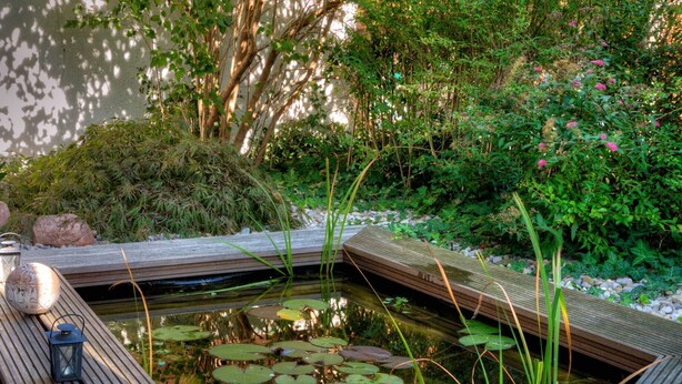 Un pontile di legno circonda uno stagno rettangolare con ninfee e un lanterne.