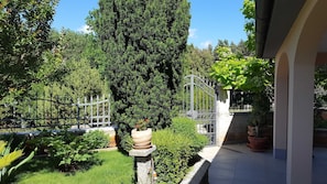 Un patio con un árbol alto, una puerta de metal y plantas en macetas.