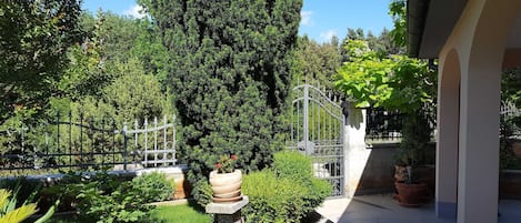 A courtyard with a tall tree, a metal gate, and potted plants.
