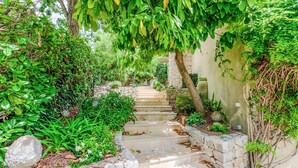 A stone staircase surrounded by lush greenery and plants. - Stunning home in Biot (Biot)