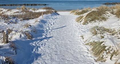 House 1795 Woodpecker - ID 60420 - House 1795 Woodpecker