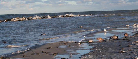 靠近海滩