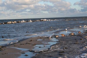 Une plage avec des vagues, des rochers et des oiseaux.