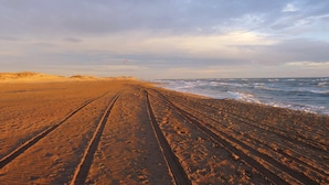 Une plage où l’on voit des traces de pneus menant à l’eau, une personne faisant voler un cerf-volant et des dunes en arrière-plan.