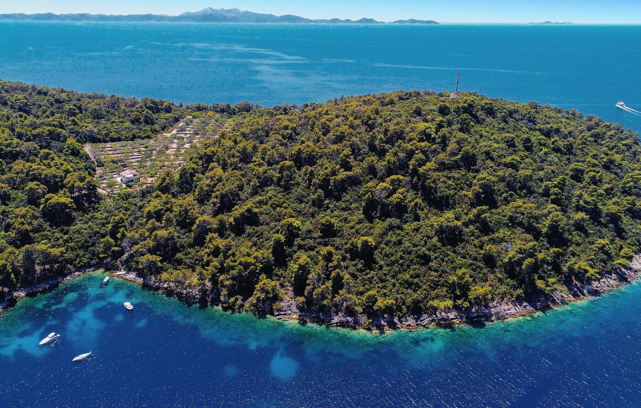 An aerial view of a densely forested island with clear blue waters, boats, and a visible path leading through the trees.