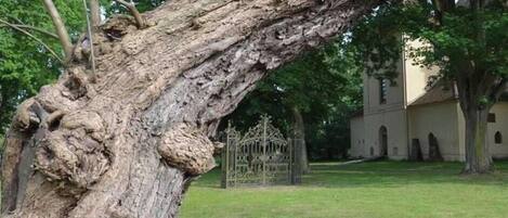 Área da propriedade