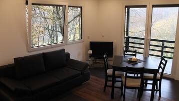 TV, fireplace, video games