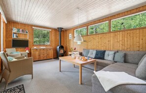 TV, fireplace, DVD player