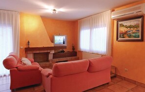 Una televisión, una chimenea, un reproductor de DVD