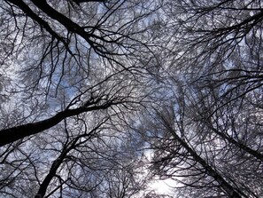 Unclassified image, 3 of 44, button