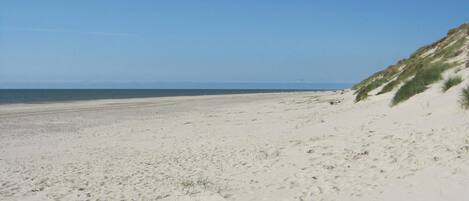 بالقرب من الشاطئ