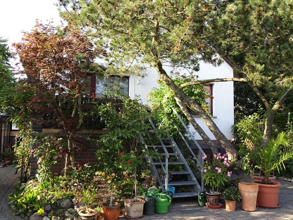 Terrain de l’hébergement 