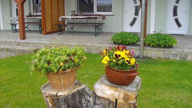 Een gebouw met een veranda, een tafel en twee bloempotten op een boomstronk.