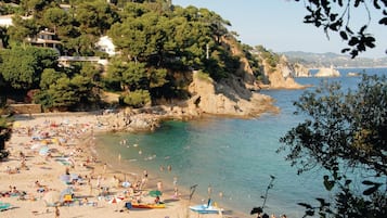 Vlak bij het strand, vissen