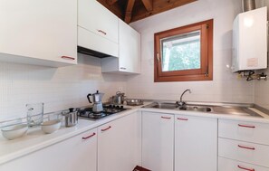 Fridge, stovetop, cookware/dishes/utensils
