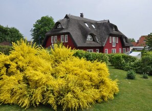 Udendørsområde