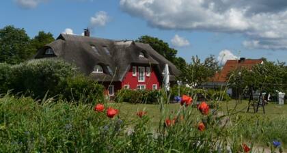 01 Holiday apartment with terrace - Karola's country house under the thatched roof