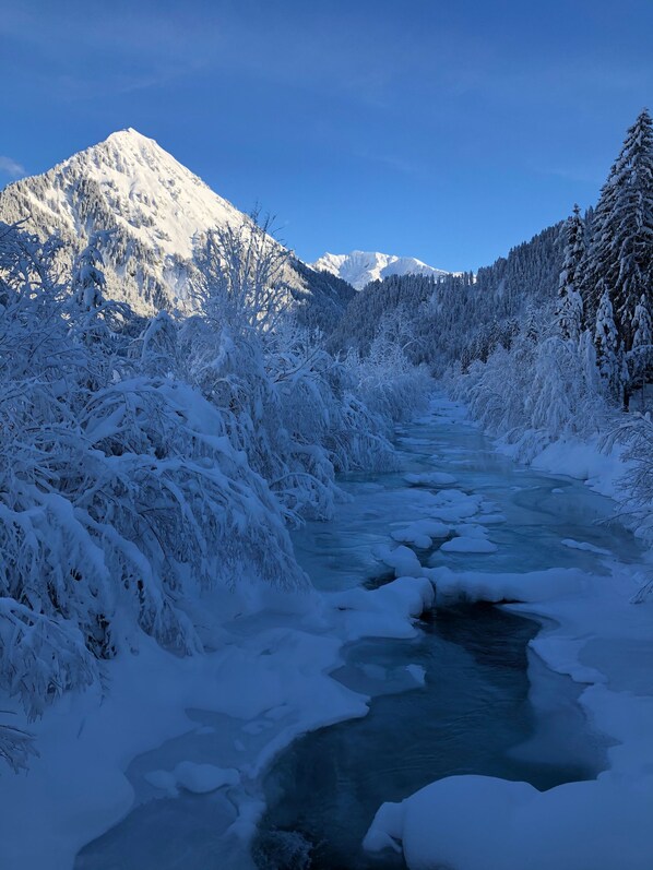 Unclassified image, 1 of 49, button - Apartment Mountain Panorama - Moosbrugger Erna - Haus Erna (Schoppernau)