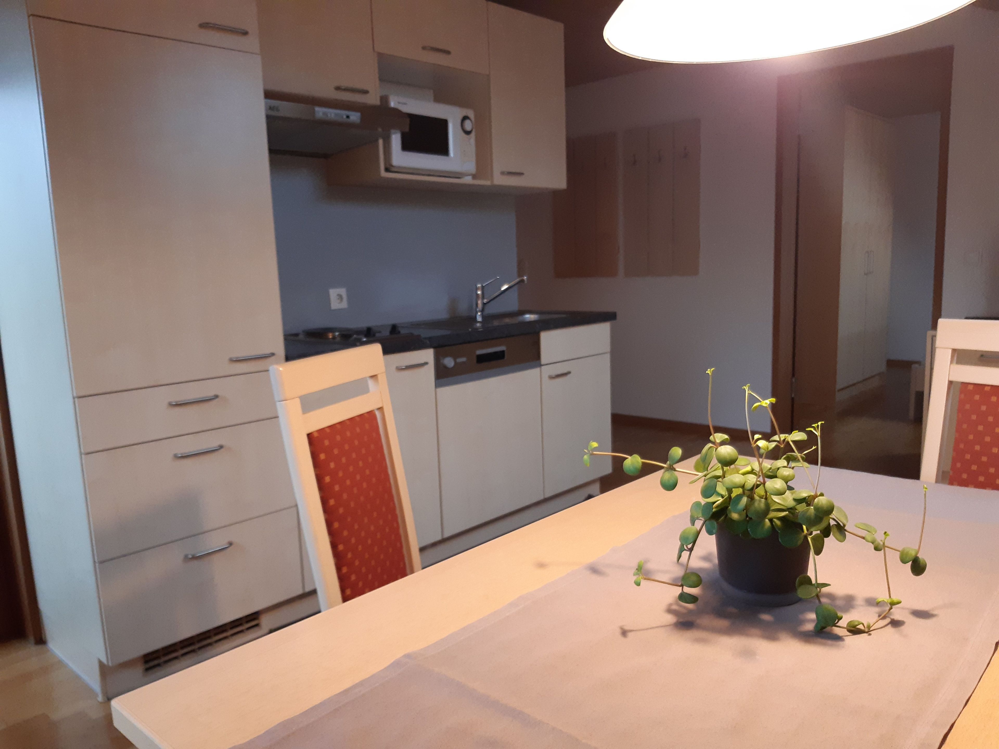Cocina con armarios blancos, un microondas y un fregadero. Hay una mesa de comedor con una planta en maceta.