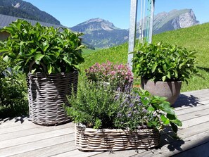 Outdoor potted plants on a wooden deck with a mountainous backdrop.