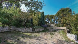 A gravel path leading through a garden with stone walls and various trees. - Gorgeous apartment in Arbanija with WiFi (Arbanija)