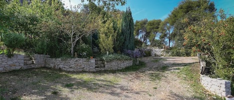 A gravel path leading through a garden with stone walls and various trees.