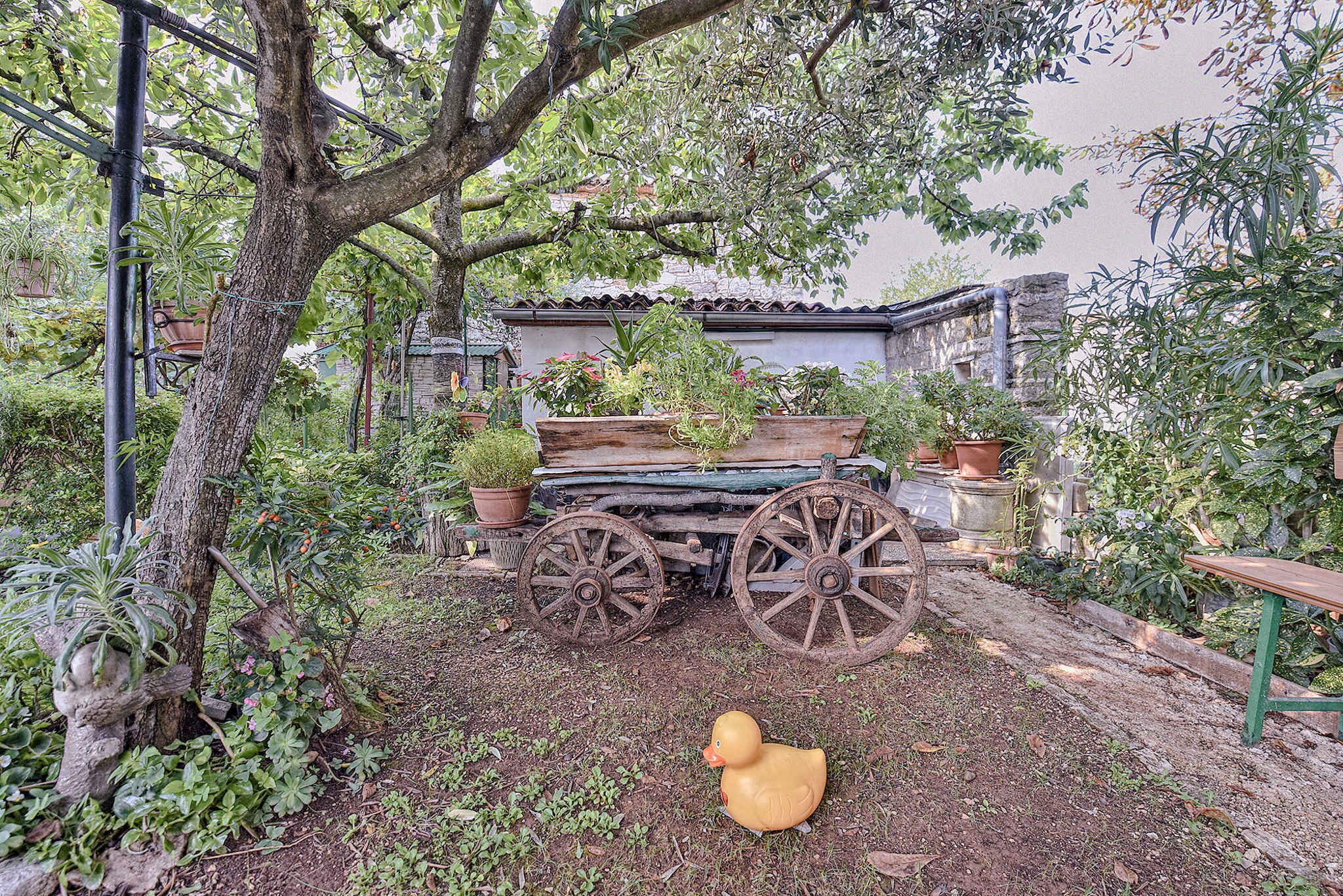 A rustic garden with a wooden cart, a tree, and a rubber duck.