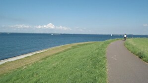 A coastal path with a grassy area and a paved walkway leading to the sea.