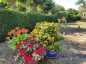 Imagen sin descripción, 3 de 21, botón