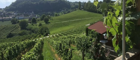 Terrain de lâhĂ©bergement