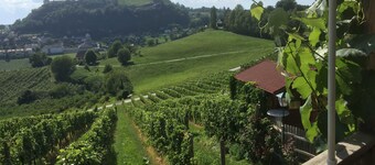 Vacation home Baumgarten1 - Holiday home Baumgarten 1