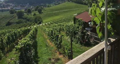 Maison Baumgarten1 - Maison Baumgarten 1